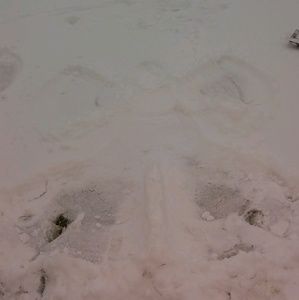 Meet your Posher, Jillian